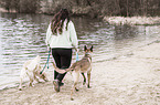 2 dogs