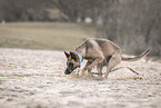 towrope training