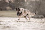 towrope training