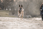 towrope training
