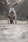towrope training