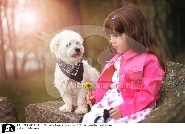 Mdchen und Malteser / girl and Maltese / CDE-01834