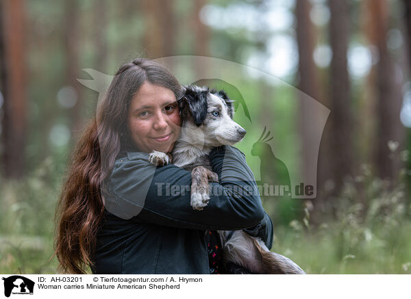 Frau trgt Miniature American Shepherd / Woman carries Miniature American Shepherd / AH-03201