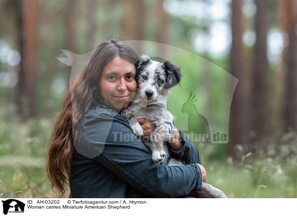Frau trgt Miniature American Shepherd / Woman carries Miniature American Shepherd / AH-03202