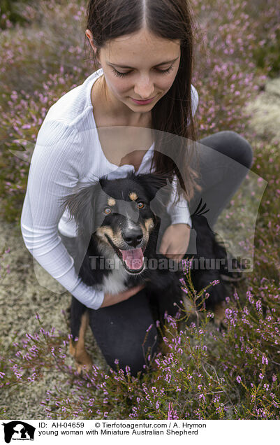 junge Frau mit Miniature Australian Shepherd / young woman with Miniature Australian Shepherd / AH-04659