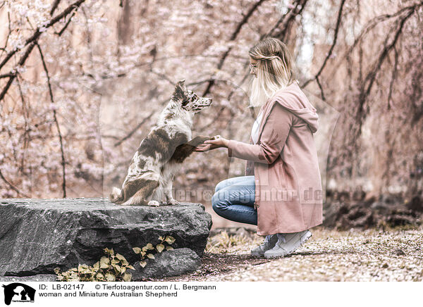 Frau und Miniature Australian Shepherd / woman and Miniature Australian Shepherd / LB-02147