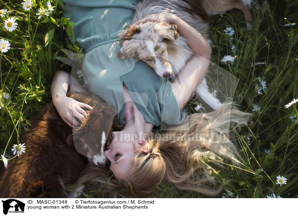 junge Frau mit 2 Miniature Australian Shepherds / young woman with 2 Miniature Australian Shepherds / MASC-01348
