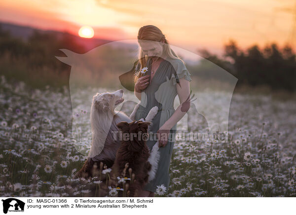 junge Frau mit 2 Miniature Australian Shepherds / young woman with 2 Miniature Australian Shepherds / MASC-01366