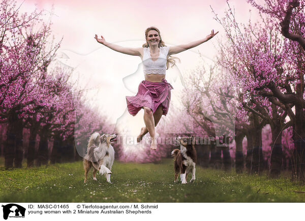 junge Frau mit 2 Miniature Australian Shepherds / young woman with 2 Miniature Australian Shepherds / MASC-01465