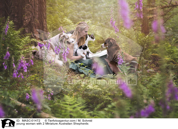 junge Frau mit 2 Miniature Australian Shepherds / young woman with 2 Miniature Australian Shepherds / MASC-01472