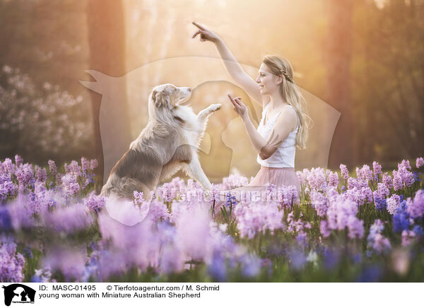 junge Frau mit Miniature Australian Shepherd / young woman with Miniature Australian Shepherd / MASC-01495