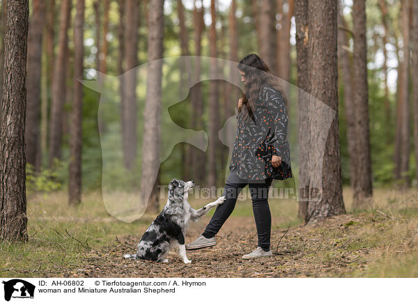 Frau und Miniature Australian Shepherd / woman and Miniature Australian Shepherd / AH-06802
