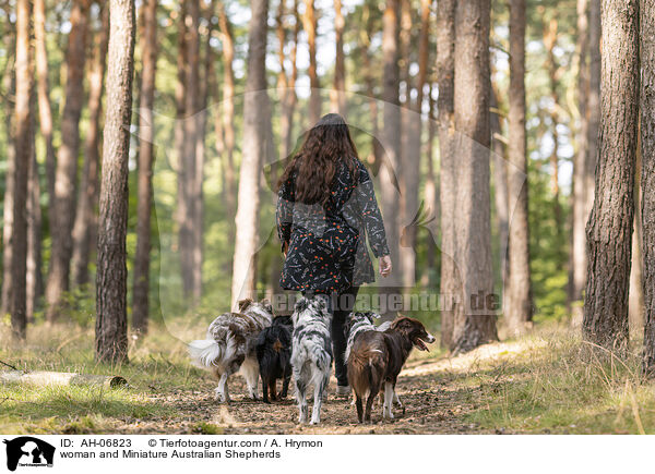 Frau und Miniature Australian Shepherds / woman and Miniature Australian Shepherds / AH-06823