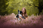 Miniature Australian Shepherd at summer