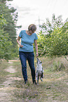 training with young Miniature Australian Shepherd