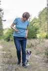 training with young Miniature Australian Shepherd