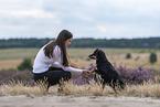 young woman with Miniature Australian Shepherd