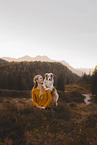 young woman with Miniature Australian Shepherd
