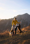 young woman with 2 Miniature Australian Shepherds