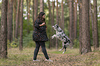woman and Miniature Australian Shepherd