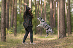 woman and Miniature Australian Shepherd