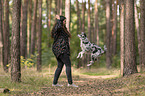 woman and Miniature Australian Shepherd