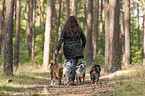 woman and Miniature Australian Shepherds
