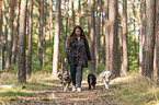woman and Miniature Australian Shepherds