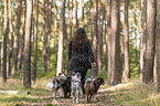 woman and Miniature Australian Shepherds