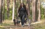 woman and Miniature Australian Shepherds