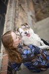 Miniature Australian Shepherd