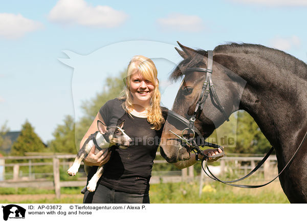 woman with dog and horse / AP-03672