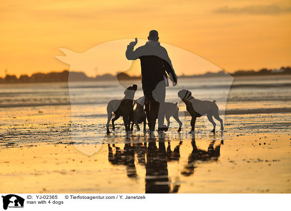 Mann mit 4 Hunden / man with 4 dogs / YJ-02365