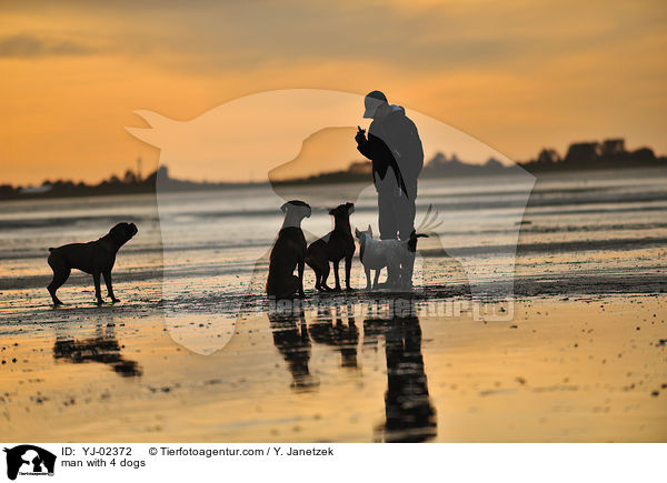 Mann mit 4 Hunden / man with 4 dogs / YJ-02372