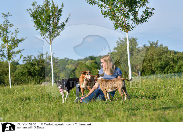 woman with 3 Dogs / YJ-15960