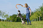 woman with 2 Dogs