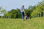 woman with 2 Dogs