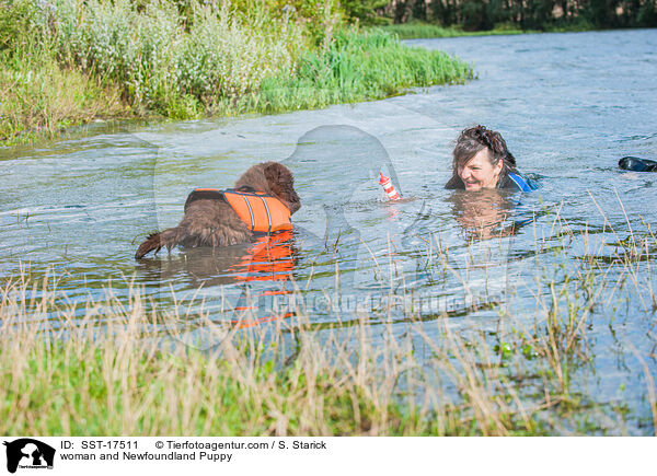 Frau und Neufundlnder Welpe / woman and Newfoundland Puppy / SST-17511