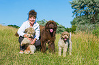 woman and 3 dogs