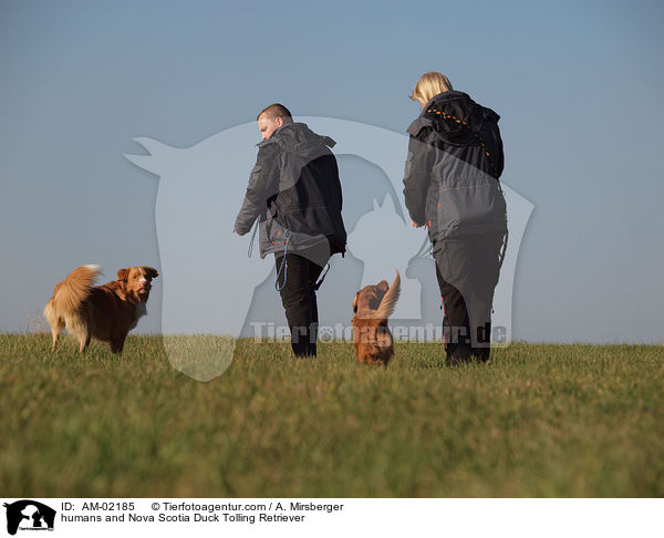 humans and Nova Scotia Duck Tolling Retriever / AM-02185