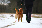 human and Toller