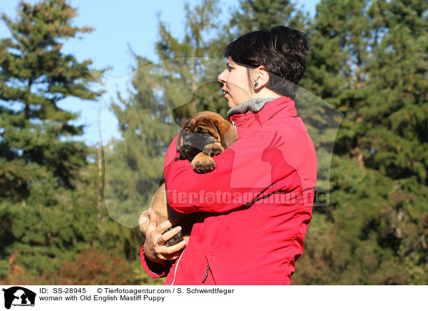 woman with Old English Mastiff Puppy / SS-28945