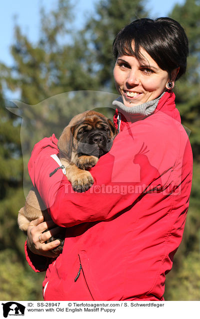 woman with Old English Mastiff Puppy / SS-28947