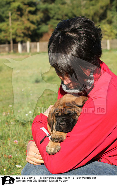 woman with Old English Mastiff Puppy / SS-28948