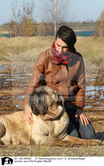 woman and Old English Mastiff / SS-36490