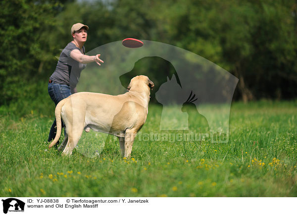 woman and Old English Mastiff / YJ-08838