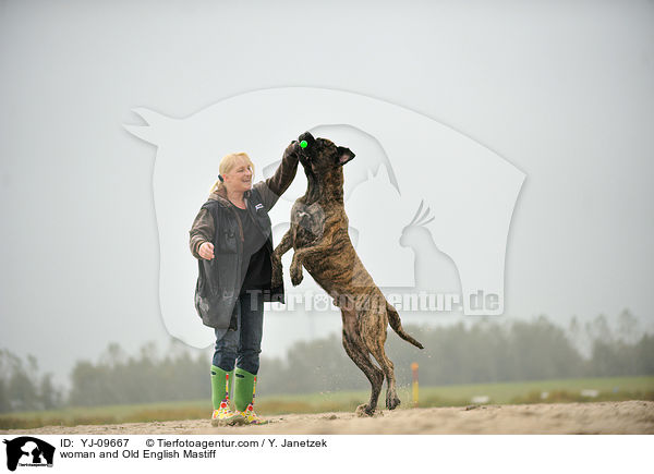 woman and Old English Mastiff / YJ-09667