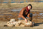 woman and Old English Mastiff