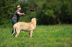 woman and Old English Mastiff