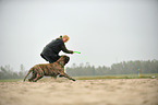 woman and Old English Mastiff